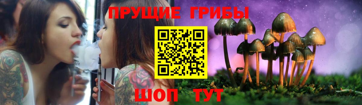 Рузаевка  Псилоцибиновые грибы Psilocybe  купить наркоту  Вход с VPN 